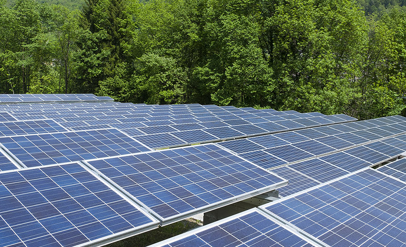 Should you buy wholesale solar panels? · HahaSmart