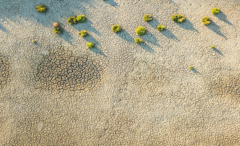 Technology brings solar energy to remote desert areas.