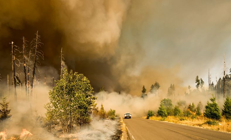 Wildfires contribute to pollution, cut solar power.