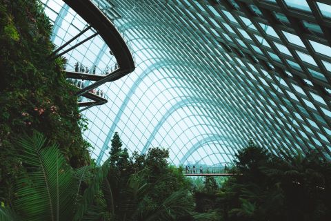 Solarpunk: Ecological and Fantastical Stories in a Sustainable World