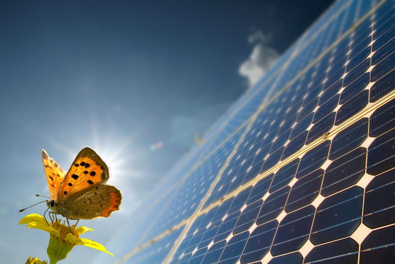 Why Aren't Solar Panels Everywhere? - Institute on the EnvironmentInstitute  on the Environment